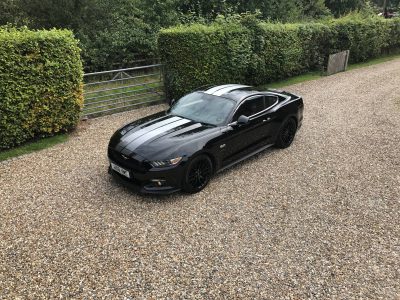 007